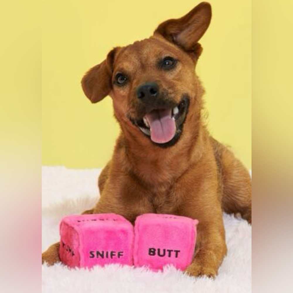 Bark Box After Dark Collection NEW naughty dog dice Dog toys squeak & crinkle
